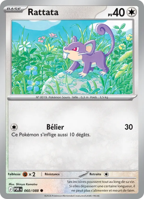 060/088 - Rattata