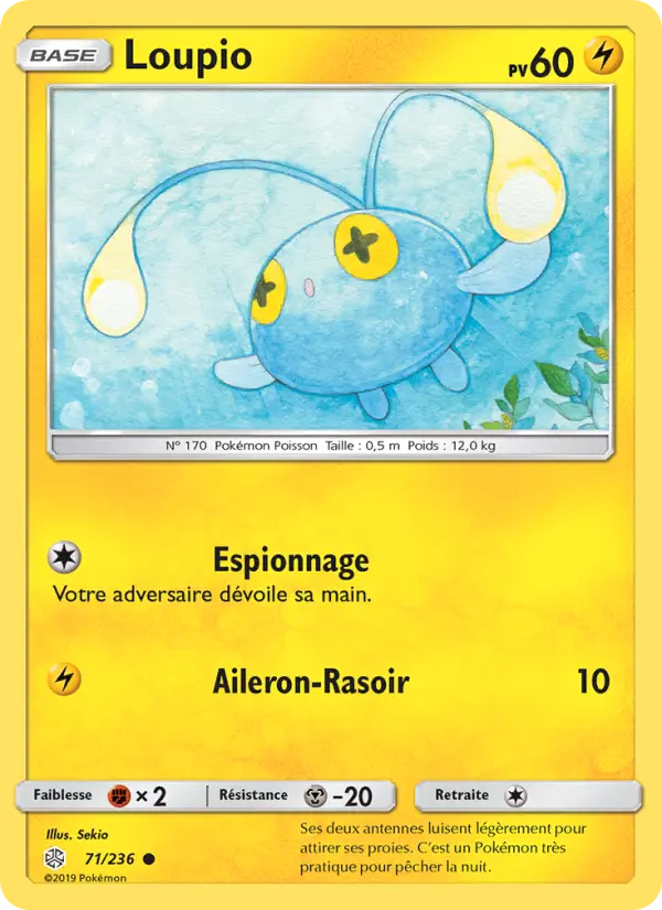 071/236 - Loupio