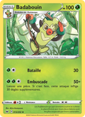 013/202 - Badabouin