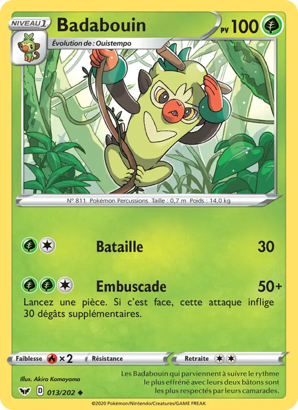 013/202 - Badabouin