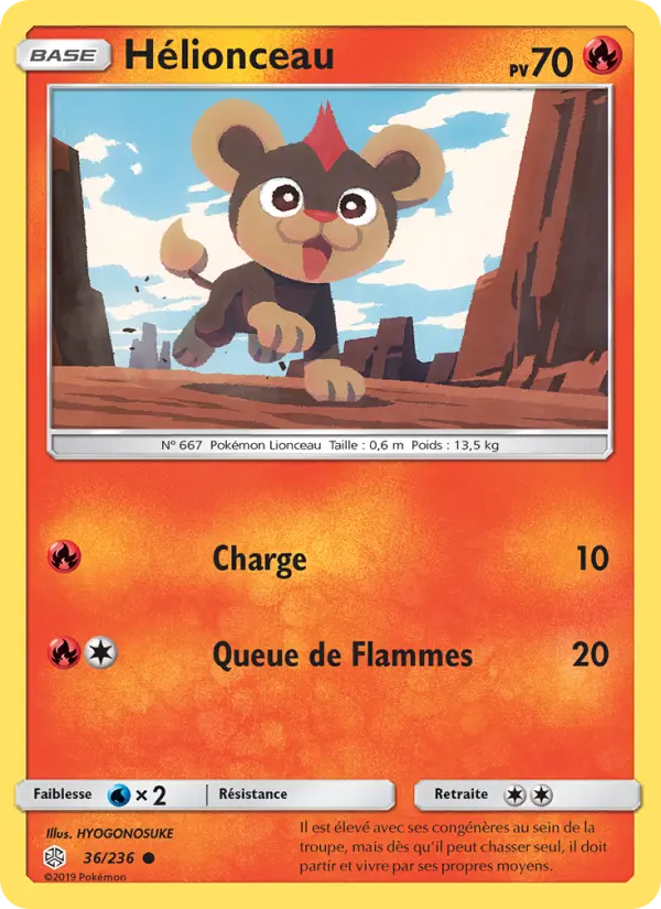 036/236 - Hélionceau
