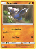 114/236 - Rototaupe
