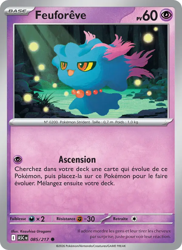 085/217 - Feuforêve