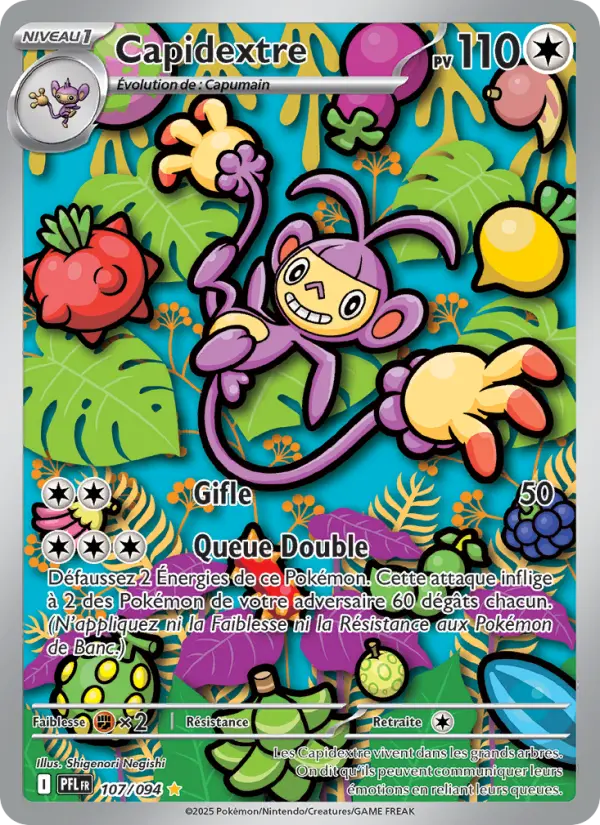107/094 - Capidextre