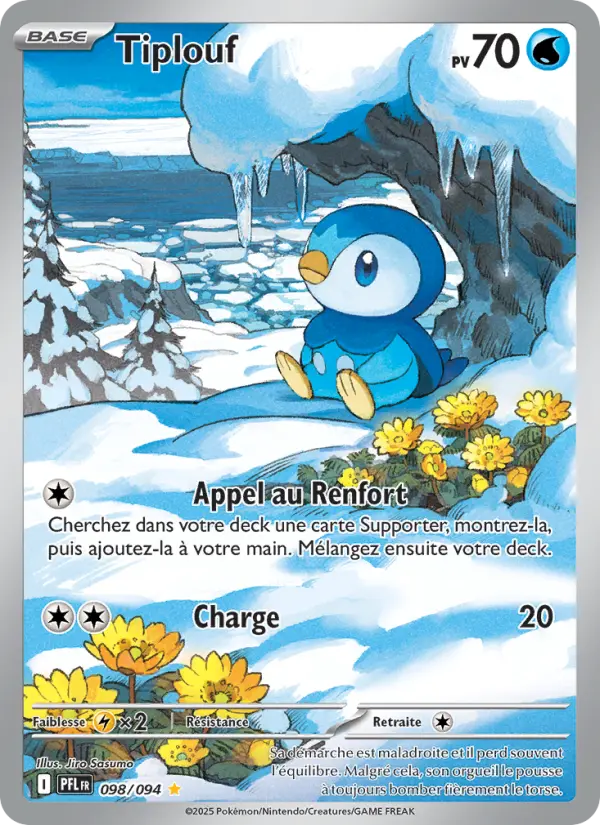 098/094 - Tiplouf