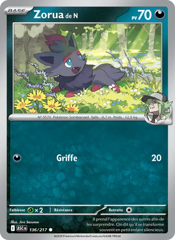 136/217 - Zorua de N