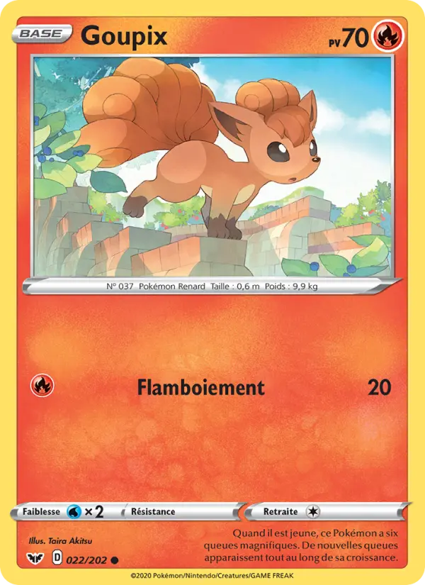 022/202 - Goupix