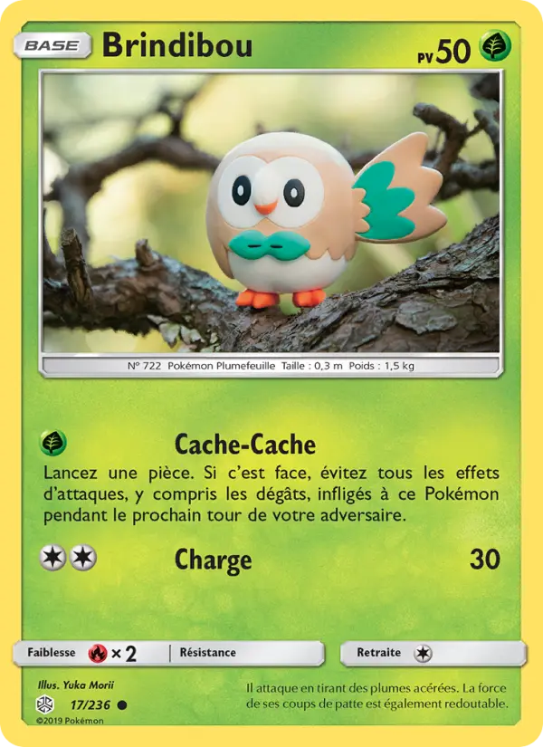 017/236 - Brindibou