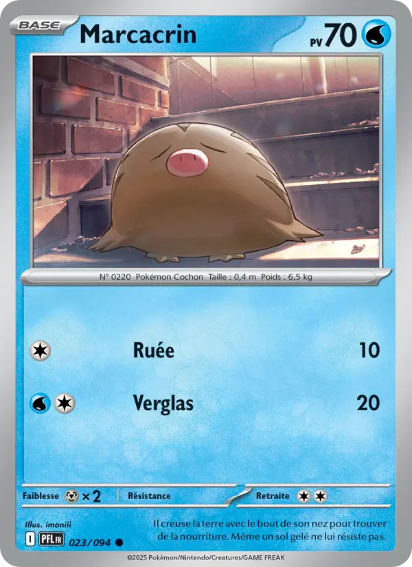023/094 - Marcacrin