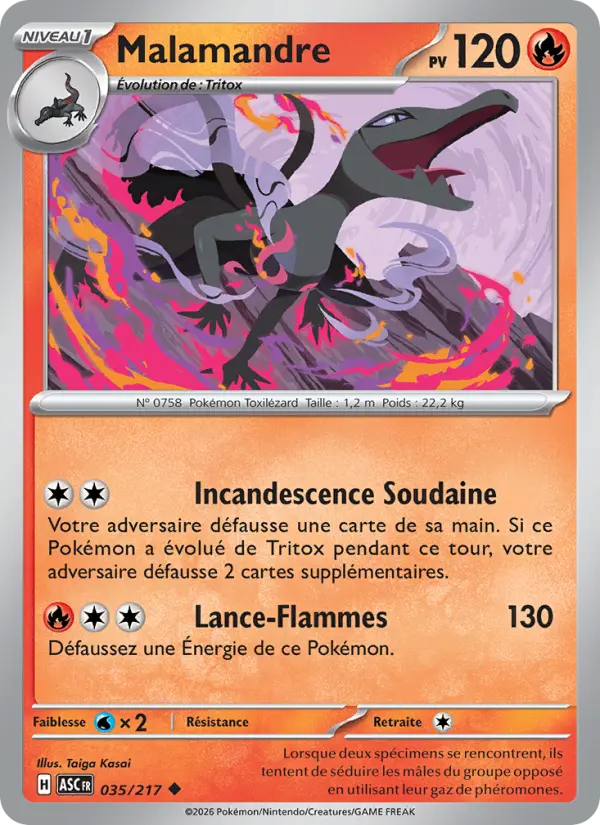035/217 - Malamandre