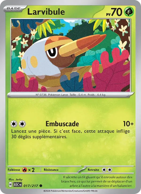017/217 - Larvibule