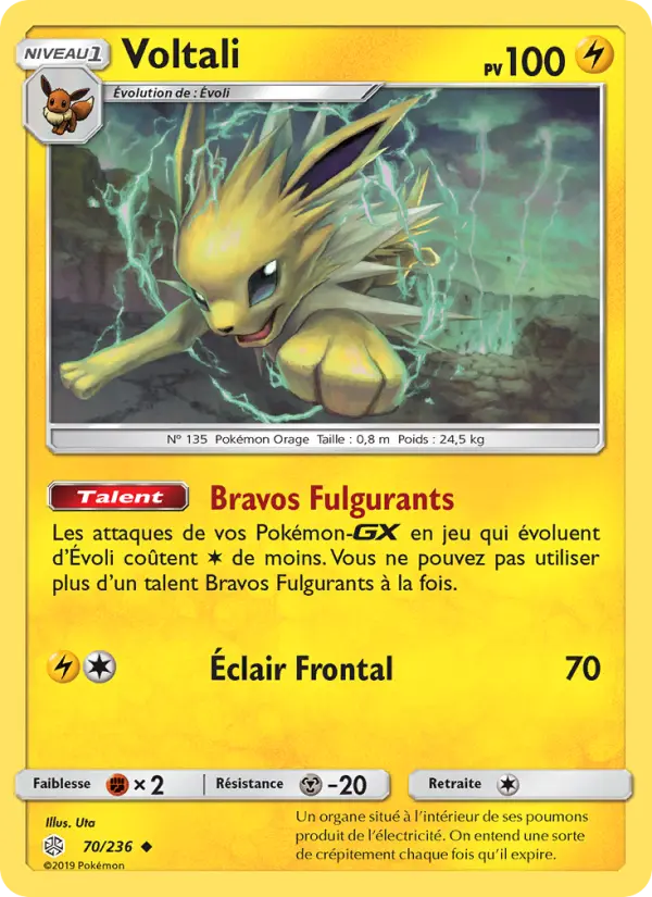 070/236 - Voltali