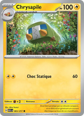 065/217 - Chrysapile