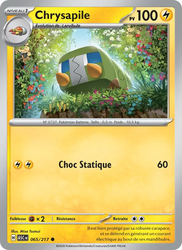 065/217 - Chrysapile