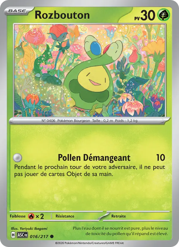 016/217 - Rozbouton