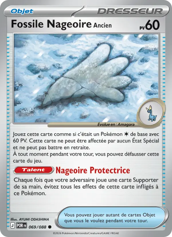 069/088 - Fossile Nageoire Ancien