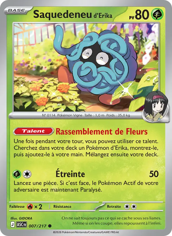 007/217 - Saquedeneu d'Erika