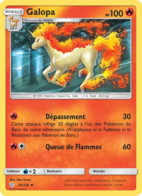 024/236 - Galopa