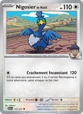 177/217 - Nigosier de Nabil