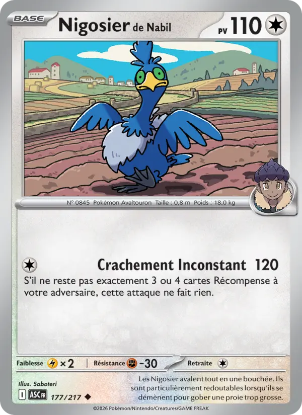 177/217 - Nigosier de Nabil