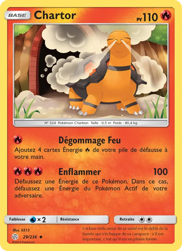 029/236 - Chartor