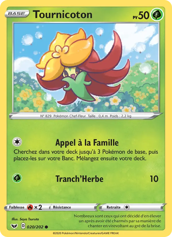 020/202 - Tournicoton