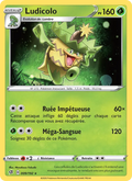 009/192 - Ludicolo