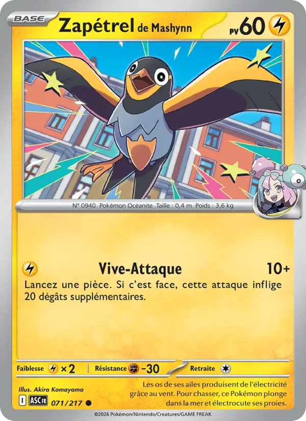 071/217 - Zapétrel de Mashynn